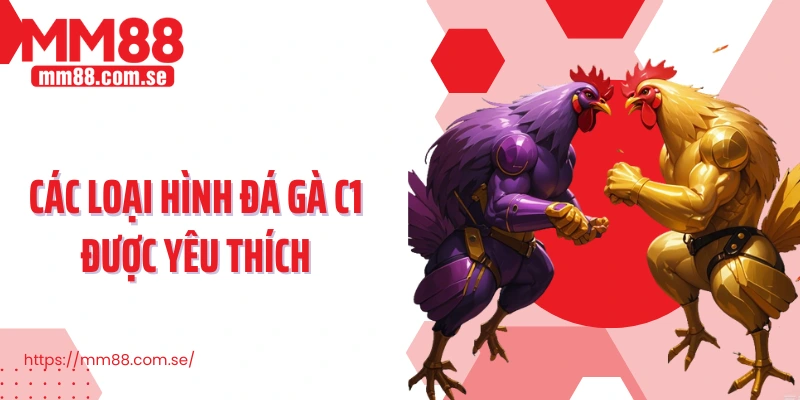 Các loại hình đá gà C1 được yêu thích