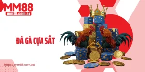 Đá gà cựa sắt