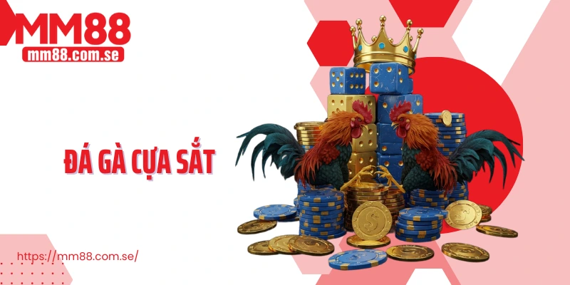 Đá gà cựa sắt